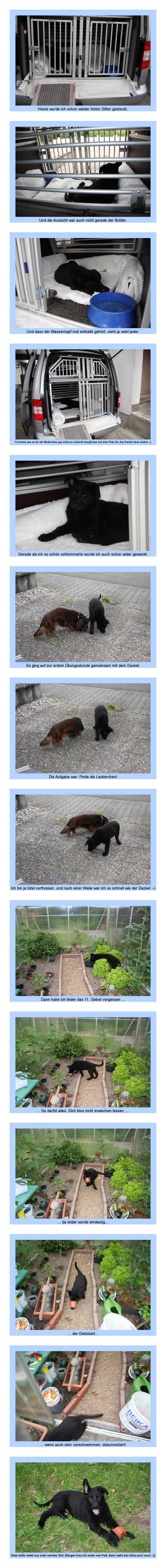 FEHLER Bild Jalu fehlt