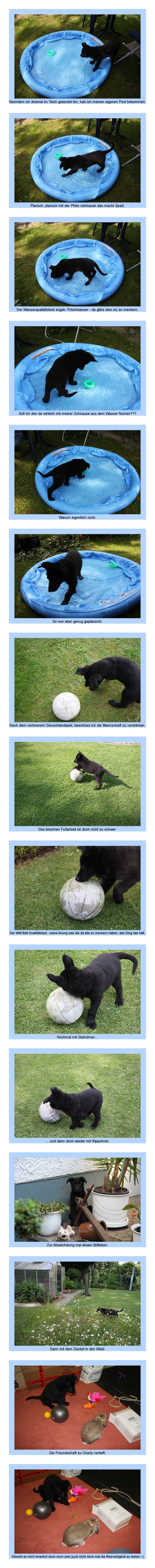 FEHLER Bild Jalu fehlt