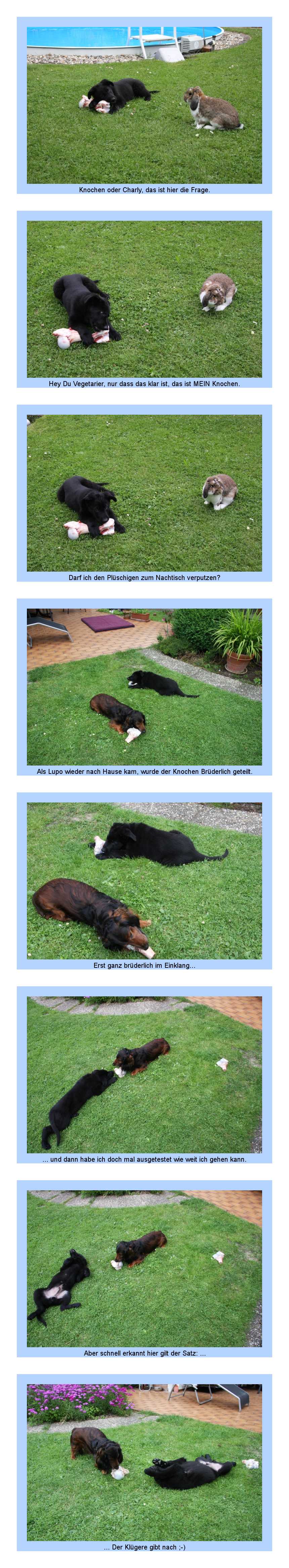 FEHLER Bild Jalu fehlt