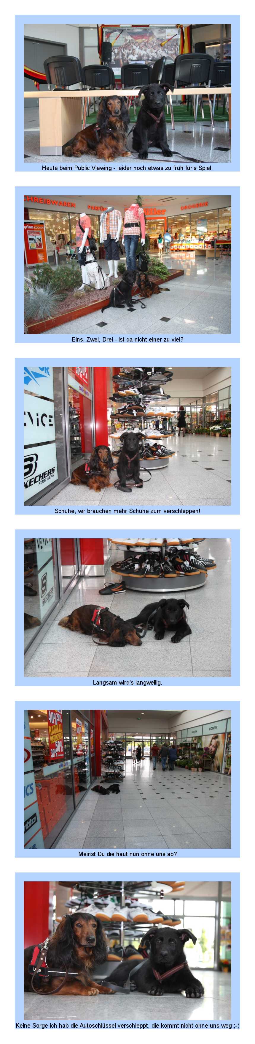 FEHLER Bild Jalu fehlt