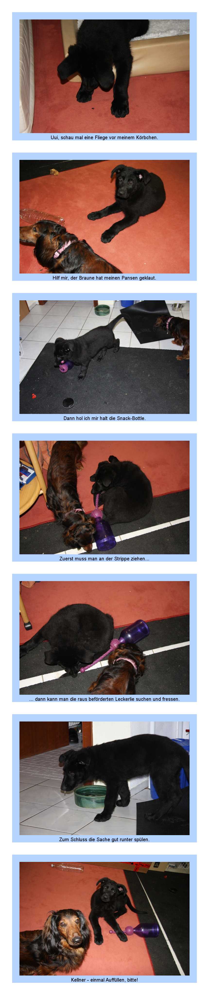 FEHLER Bild Jalu fehlt