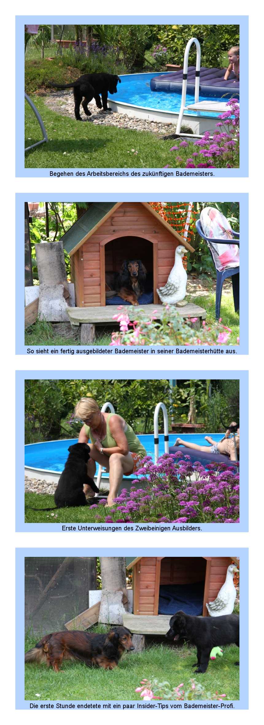 FEHLER Bild Jalu fehlt