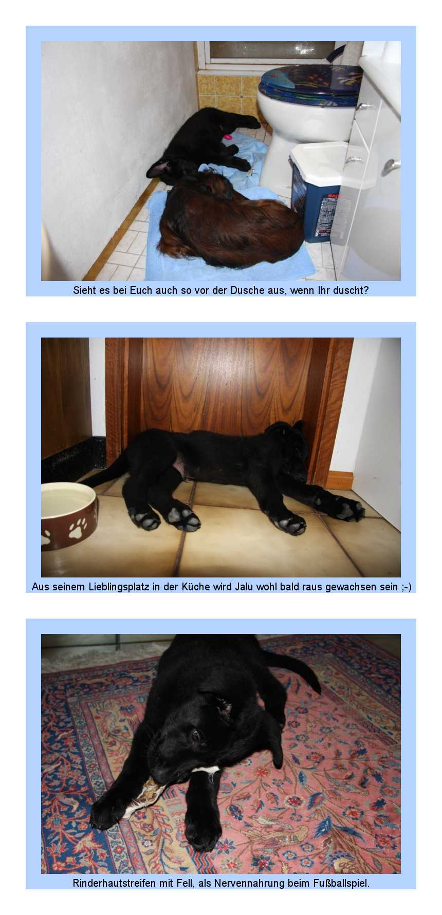 FEHLER Bild Jalu fehlt