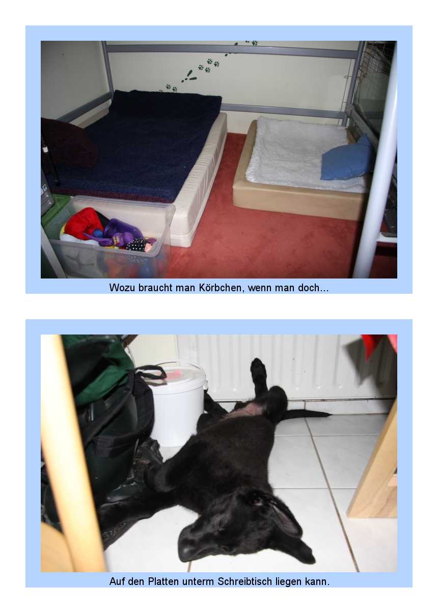 FEHLER Bild Jalu fehlt