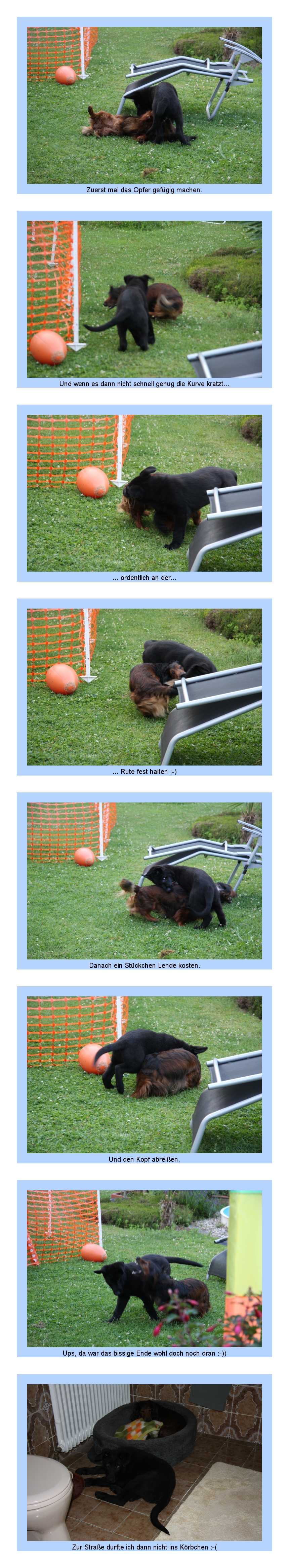 FEHLER Bild Jalu fehlt