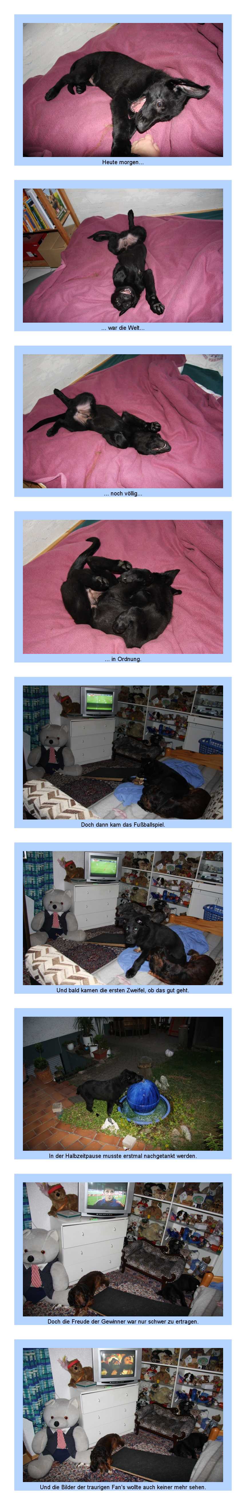 FEHLER Bild Jalu fehlt