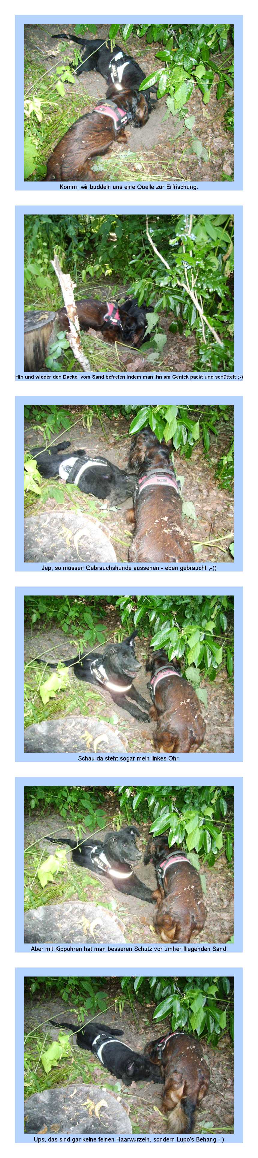 FEHLER Bild Jalu fehlt