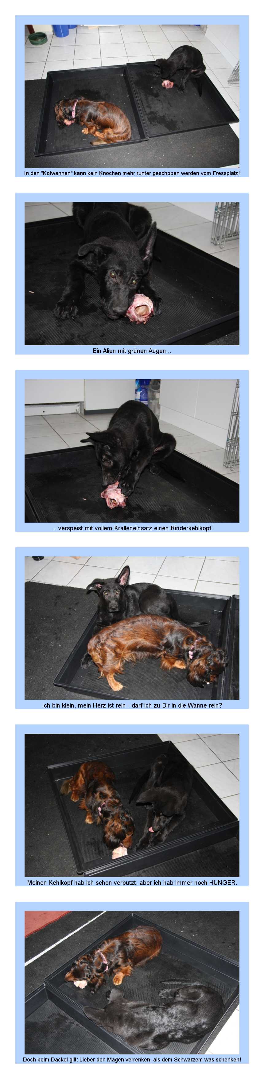 FEHLER Bild Jalu fehlt