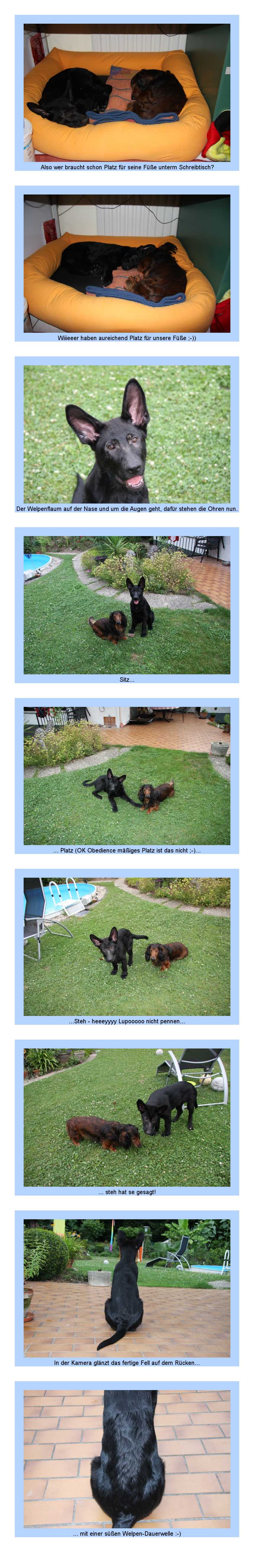 FEHLER Bild Jalu fehlt