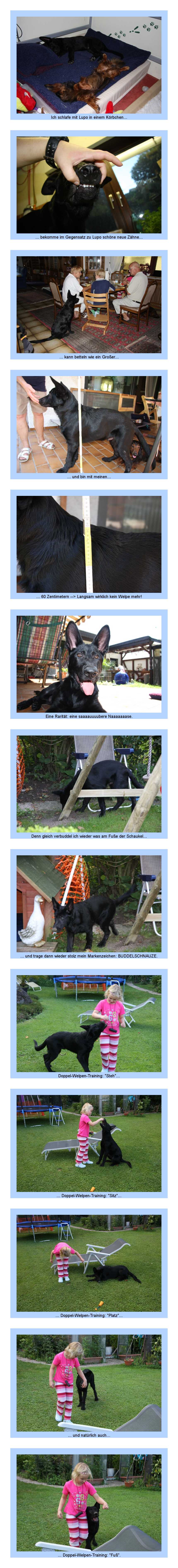 FEHLER Bild Jalu fehlt