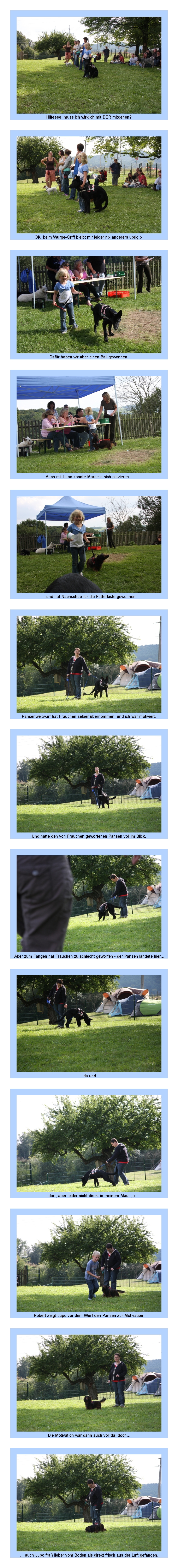 FEHLER Bild Jalu fehlt