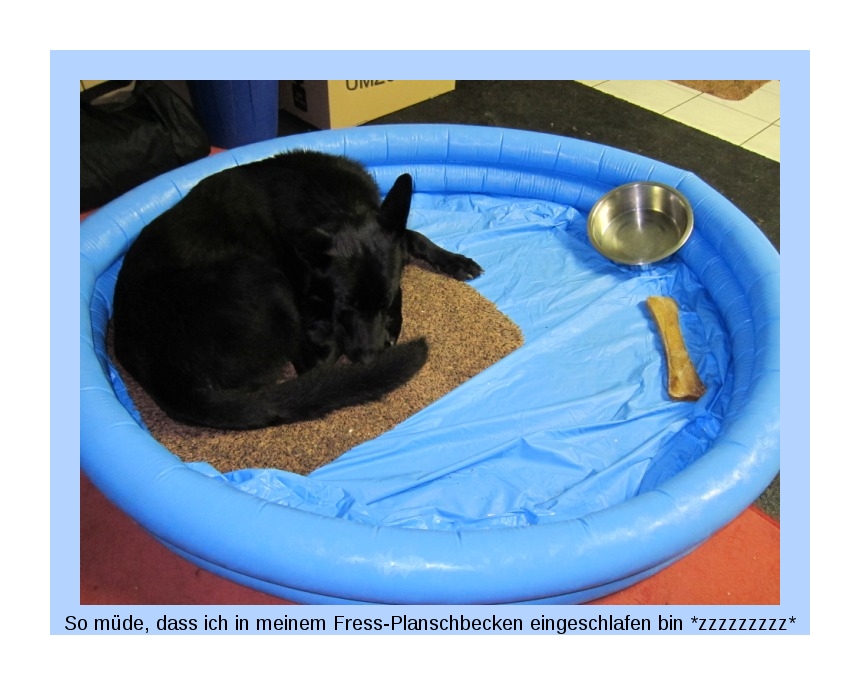 FEHLER Bild Jalu fehlt