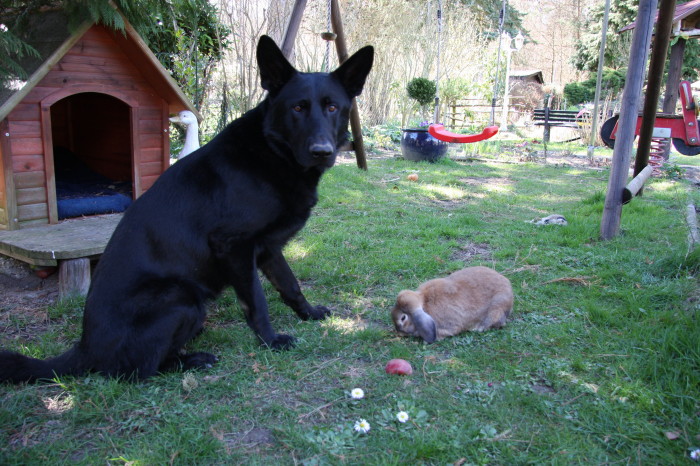 FEHLER Bild Jalu 2