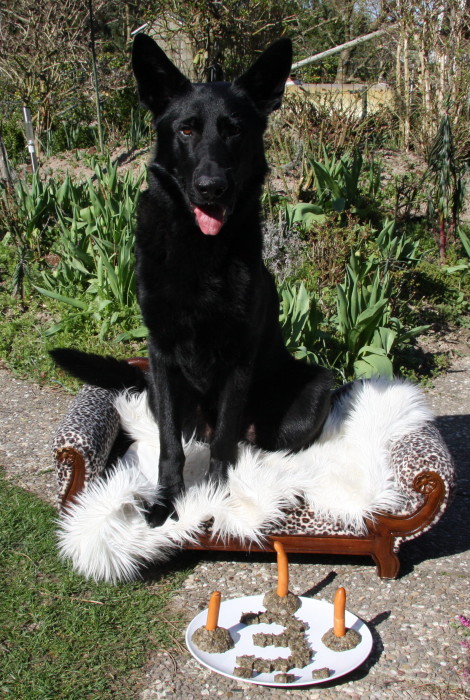 FEHLER Bild Jalu 20