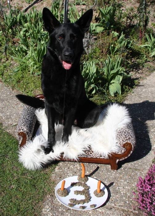 FEHLER Bild Jalu 23