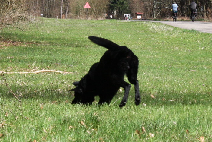 FEHLER Bild Jalu 39