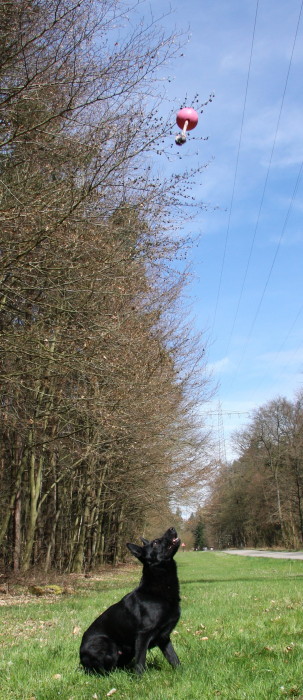 FEHLER Bild Jalu 46