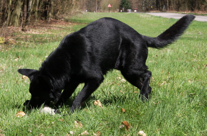 FEHLER Bild Jalu 49