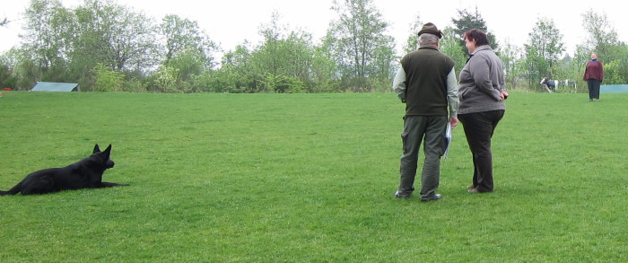 FEHLER Bild Jalu 21