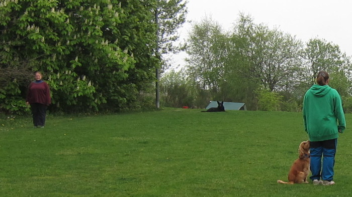 FEHLER Bild Jalu 26