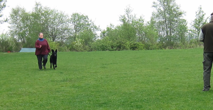 FEHLER Bild Jalu 29