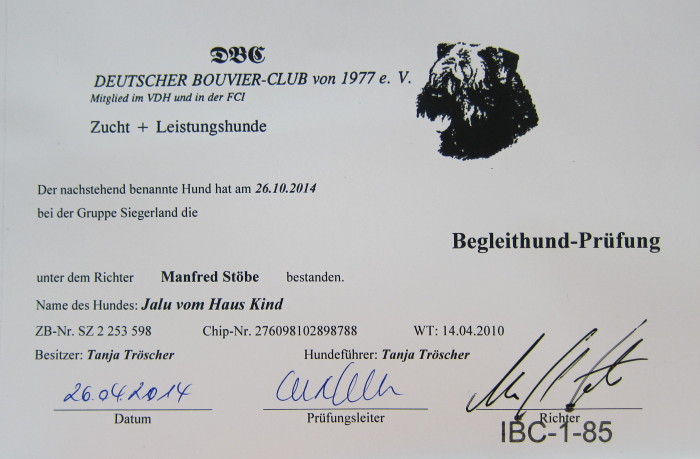 FEHLER Bild Jalu 33