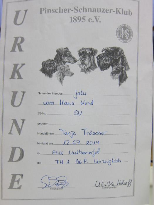 FEHLER Bild Jalu 10