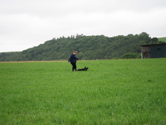 FEHLER Bild Jalu 5