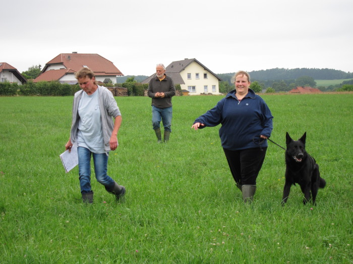 FEHLER Bild Jalu 8
