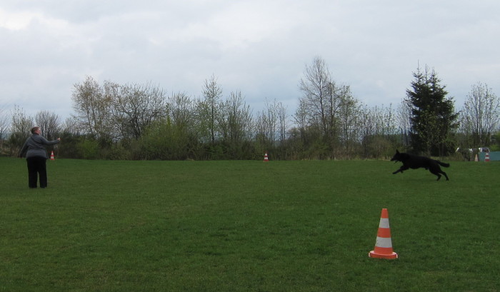 FEHLER Bild Jalu 16 fehlt