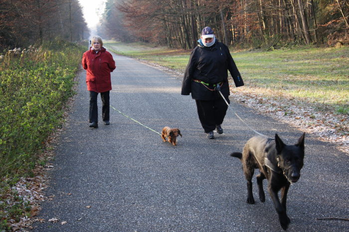 FEHLER Bild Jalu 8 fehlt