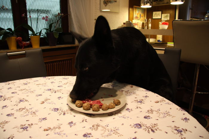 FEHLER Bild Jalu 10 fehlt
