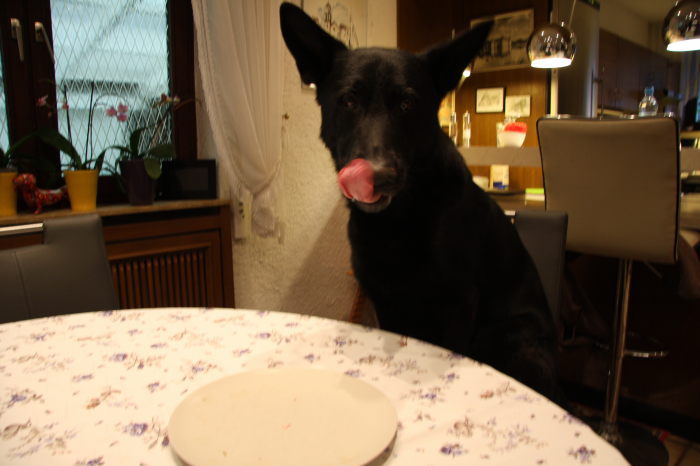 FEHLER Bild Jalu 13 fehlt