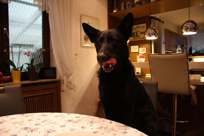 FEHLER Bild Jalu 14 fehlt