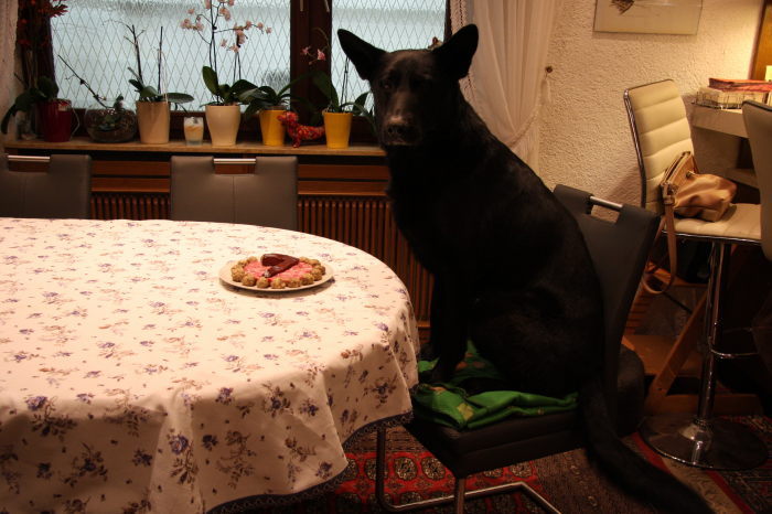 FEHLER Bild Jalu 2 fehlt