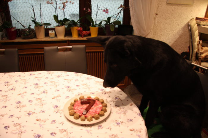 FEHLER Bild Jalu 4 fehlt