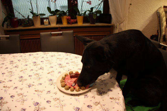 FEHLER Bild Jalu 6 fehlt