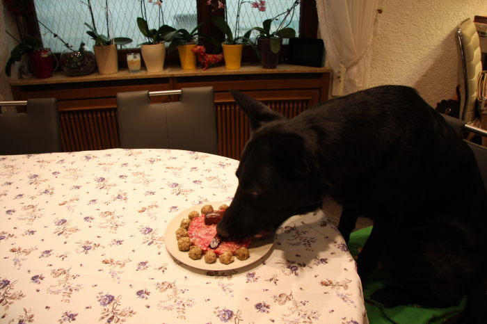 FEHLER Bild Jalu 7 fehlt